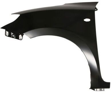 Suzuki Spatbord 6504046816313P