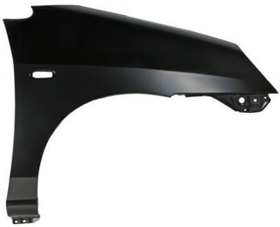 Suzuki Spatbord 6504046817312P