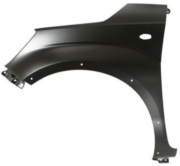 Suzuki Spatbord 6504046819315P