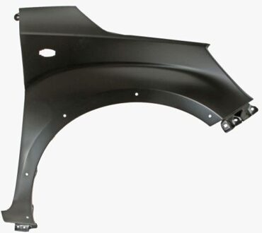 Suzuki Spatbord 6504046819318P