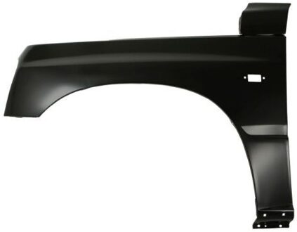 Suzuki Spatbord 6504046820311P