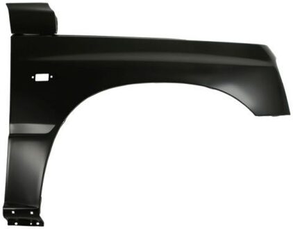 Suzuki Spatbord 6504046820312P