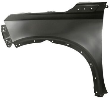 Suzuki Spatbord 6504046826311P