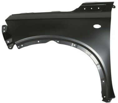 Suzuki Spatbord 6504046826313P