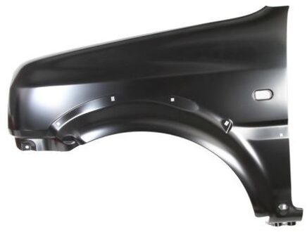 Suzuki Spatbord 6504046842311P