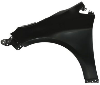 Suzuki Spatbord 6504048140311P