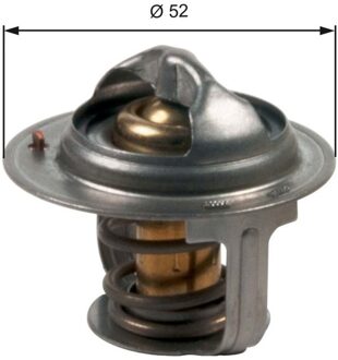 Suzuki Thermostaat, koelvloeistof