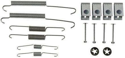 Suzuki Toebehoren, remschoen