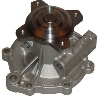 Suzuki Waterpomp SW1913