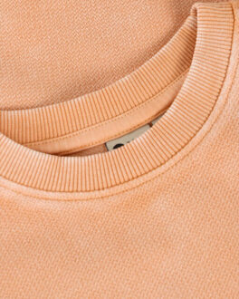 Sweat 920336 Oranje - 116