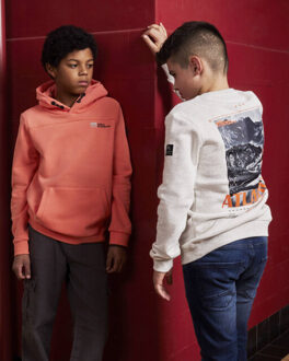 Sweat 960435 Grijs - 140