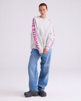 Sweat w2502016 romina Grijs