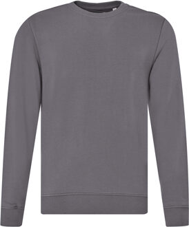 Sweater Grijs - XXL
