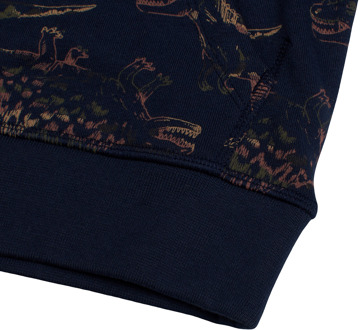 Sweater met capuchon 734961 voor jongens Blauw