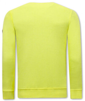 Sweater met print gouden leeuw Geel