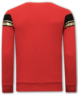 Sweater met print leeuw strass Rood