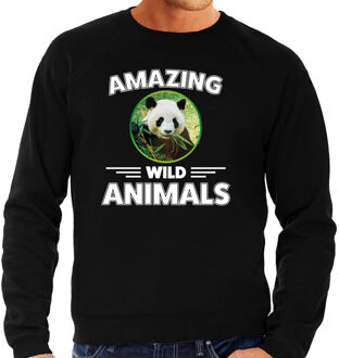 Sweater pandaberen amazing wild animals / dieren trui zwart voor heren S
