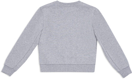 Sweatshirt Crest Grijs