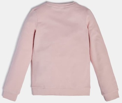 Sweatshirt Gelamineerd Driehoeklogo Roze - 10