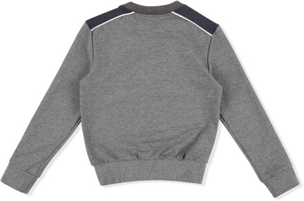 Sweatshirt Lion Grijs - 8J / 128cm