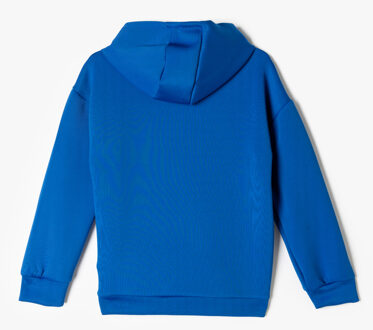 SWEATSHIRTS Capuchon kraag Met drukwerk Sweatshirt Blauw