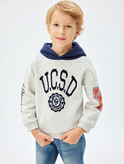 SWEATSHIRTS Capuchon kraag Met drukwerk Sweatshirt Grijs