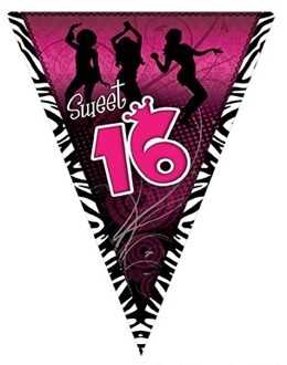 Sweet 16 slinger zwart/roze 5 meter Multi