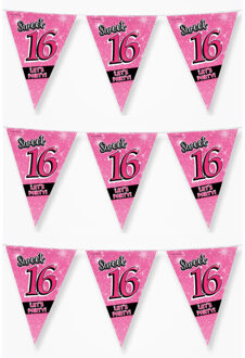 Sweet 16 slingers 10 meter roze - 3x stuks - 16e Verjaardag - Vlaggenlijnen/slingers - Feestversieri
