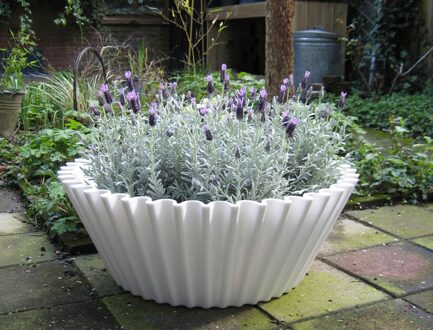 SweetCake Multifunctionele Bak