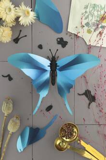 Swordtail butterfly 3D insect glossy asuer blue Assembli