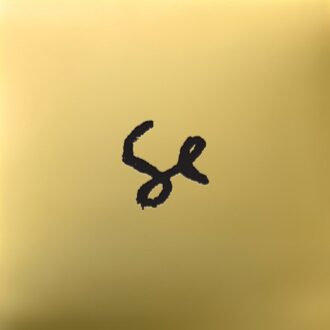 Sylvan Esso -10 Year Anniversary- - Sylvan Esso