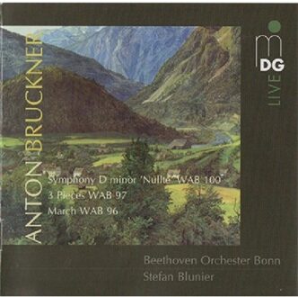 Symphony D Minor/Drei Sätze/Marsch