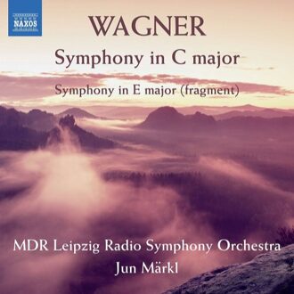 Symphony In C Majorsymphony In E Major (Fragment)