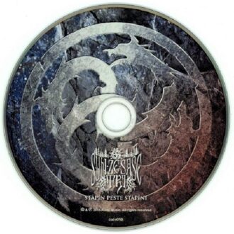 Syn Ze Sase Tri - Stapin Peste Stapini