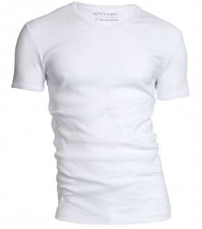 T-shirt 1-pack Semi Body Fit V-hals Wit (0302N)