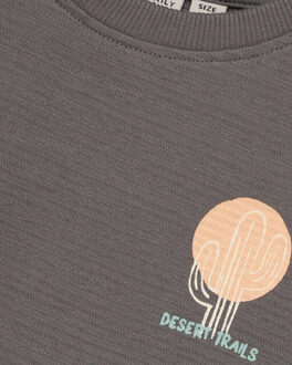 T-shirt 920353 - maat 110 Grijs