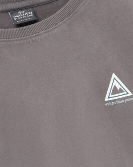 T-shirt 960655 - maat 164 Grijs