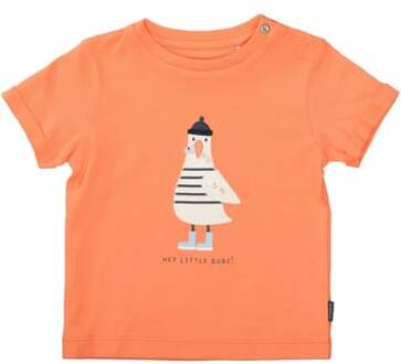 T-shirt apricot Oranje - 74