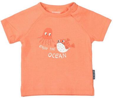 T-shirt brand gestructureerd Oranje