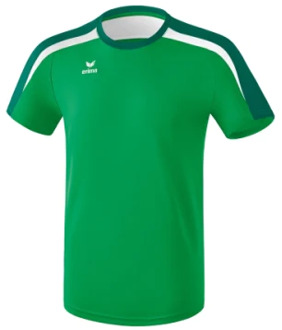 T shirt Liga 2.0 heren polyester groen/wit maat 4XL Wit,Groen,Donkergroen