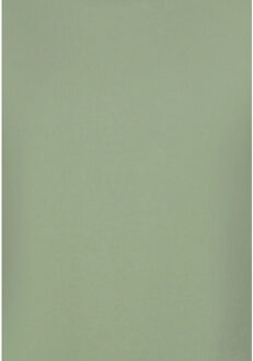 T-shirt oversized effen t-shirt - maat L Groen