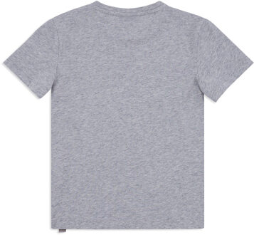 T-Shirt Ronde Hals Lion - maat 14J / 164cm Grijs