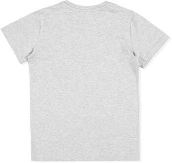 T-Shirt Ronde Hals - maat 14J / 164cm Grijs