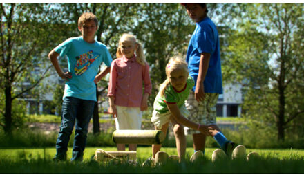 Tactic Mölkky Bruin