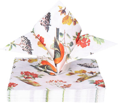 Tafel diner servetten - Tuinvogels - 20x - 33 x 33 cm