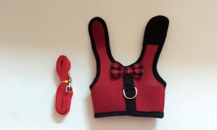 TAILUP Mesh Kleine Huisdier Konijnen Vest Harnas Met Leiband Voor Hamster Bunny Fret Cavia Puppies Kitten Borstband Harnassen rood / S