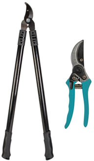 Takken snoeischaar en blauwe snoeischaar set - Snoeischaren Zwart