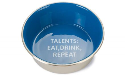 Talents Hond RVS - Voer en drinkbak - 20 cm - Blauw Wit