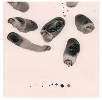 Tall Ships - Impressions