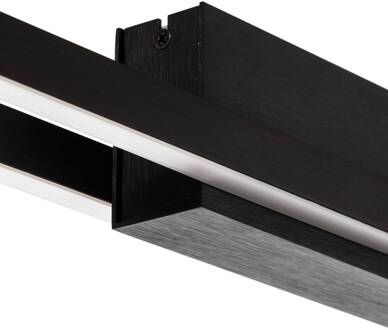 Talon LED plafondlamp 2-lamps mat zwart geanodiseerd